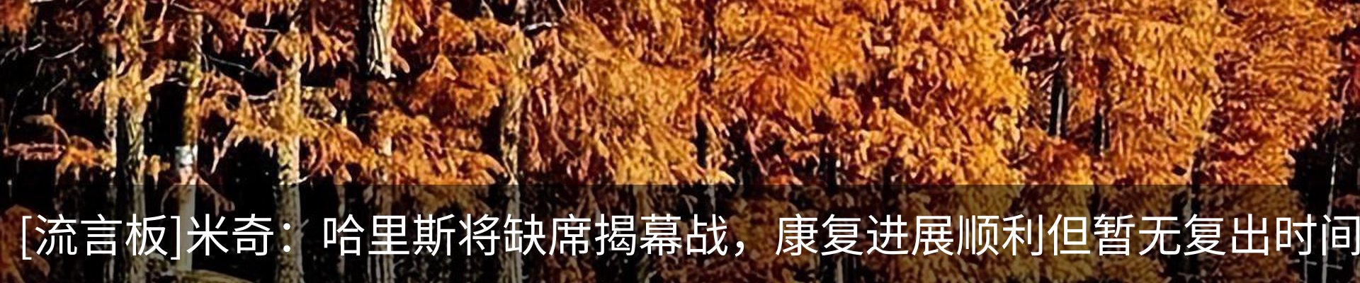 最新动态
